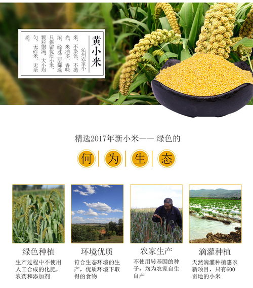 晉農妙香 新鮮農家小米，山西特產的營養佳品